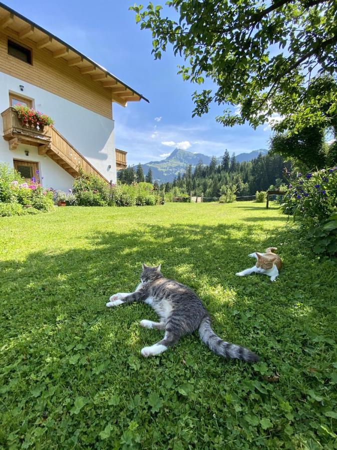 Landhaus Barbara Kitzbühel Exteriör bild