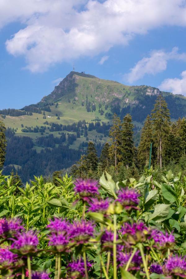 Landhaus Barbara Kitzbühel Exteriör bild